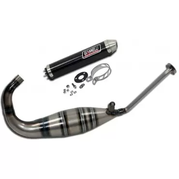 Giannelli Silencers Yamaha TZR 50