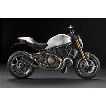 Termignoni Ducati Monster 821